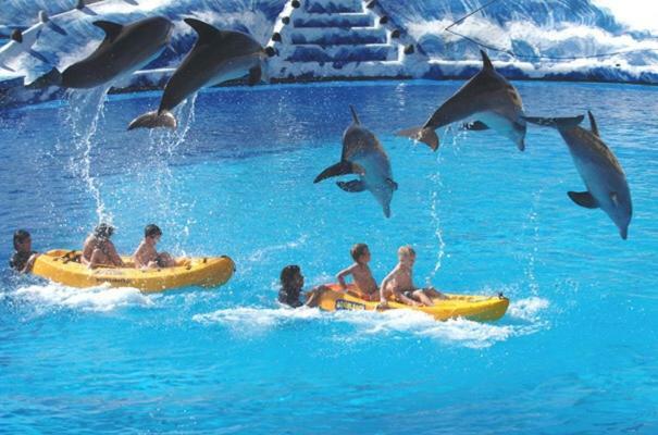 Cometa Center ベニドルム エクステリア 写真